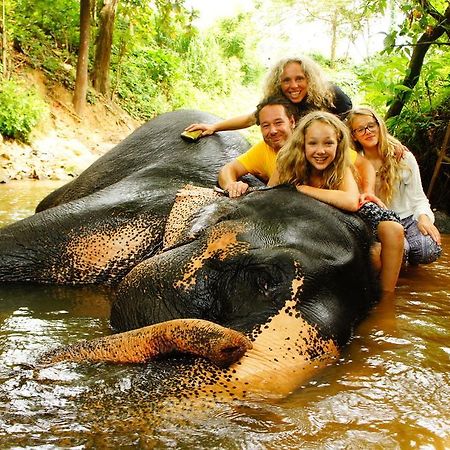 Jungle Village Homestay Pinnawala  Ngoại thất bức ảnh