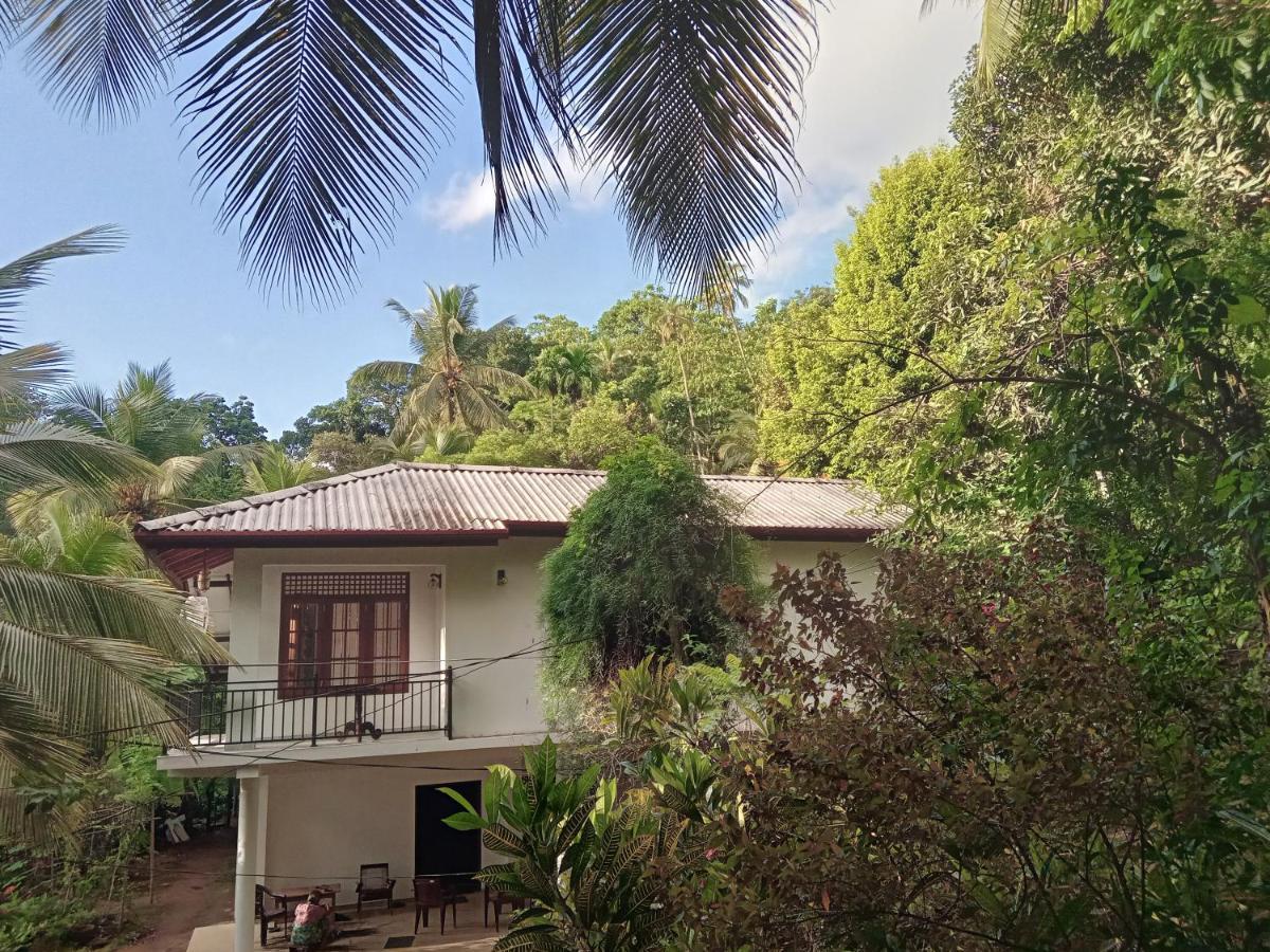 Jungle Village Homestay Pinnawala  Ngoại thất bức ảnh