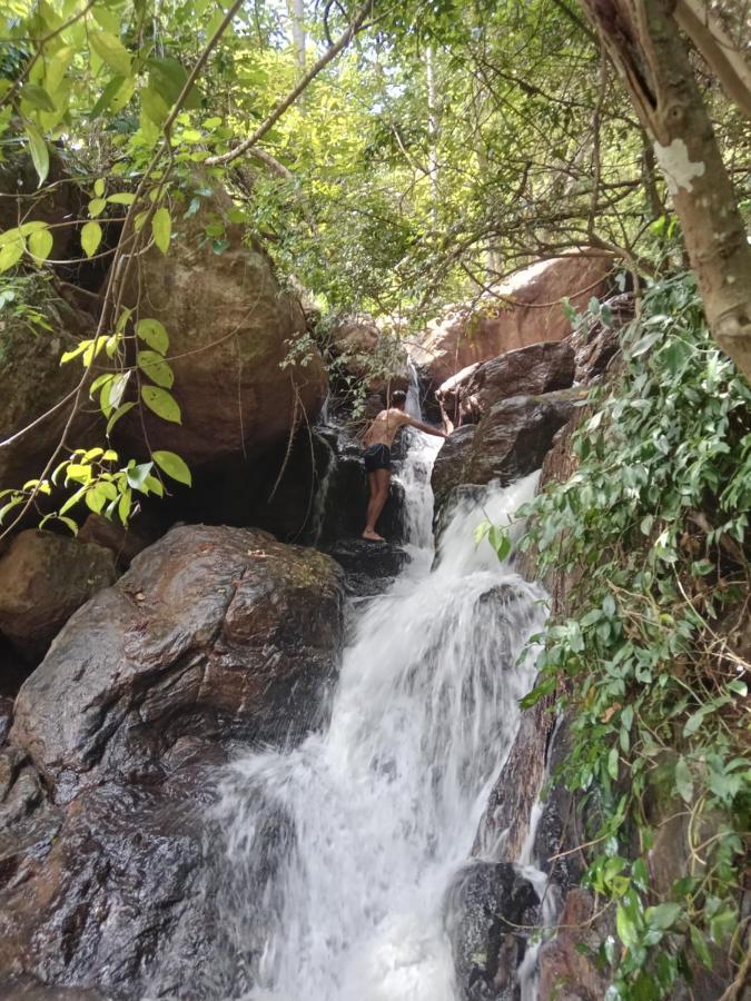 Jungle Village Homestay Pinnawala  Ngoại thất bức ảnh