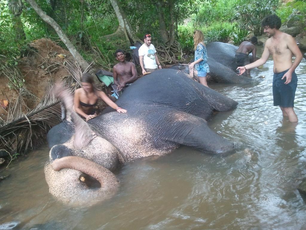 Jungle Village Homestay Pinnawala  Ngoại thất bức ảnh