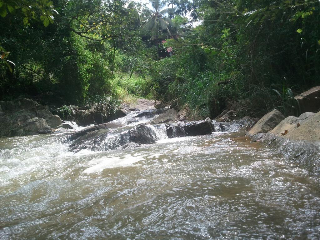 Jungle Village Homestay Pinnawala  Ngoại thất bức ảnh