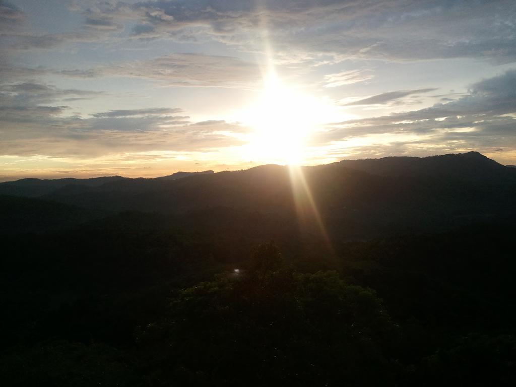 Jungle Village Homestay Pinnawala  Ngoại thất bức ảnh