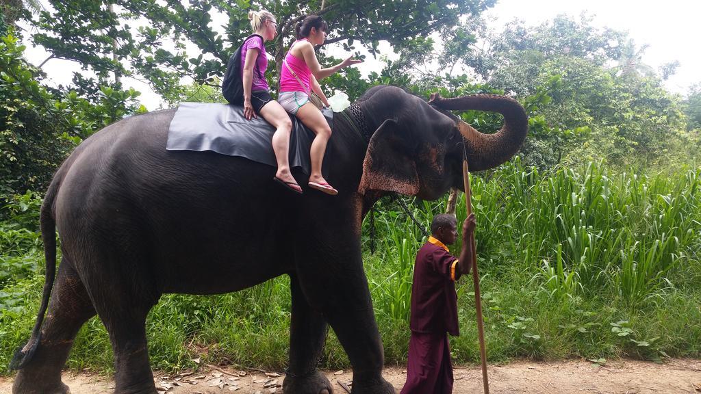 Jungle Village Homestay Pinnawala  Ngoại thất bức ảnh